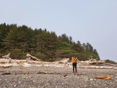 Driftwood Paradise
